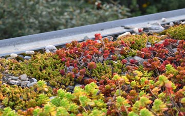 the cost of Ynysybwl green roof installation