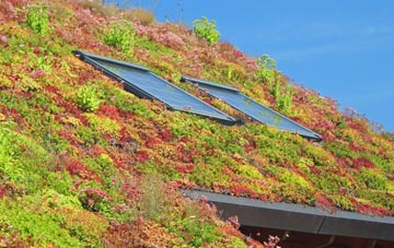Ynysybwl living roof systems
