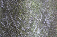 Ynysybwl fibreglass roof work